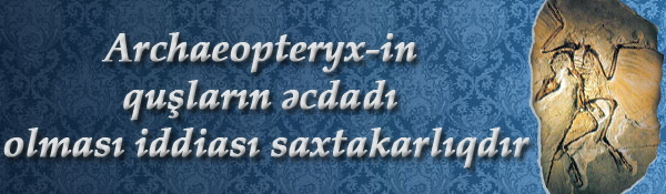 Archaeopteryx-in quşların əcdadı olması iddiası saxtakarlıqdır.